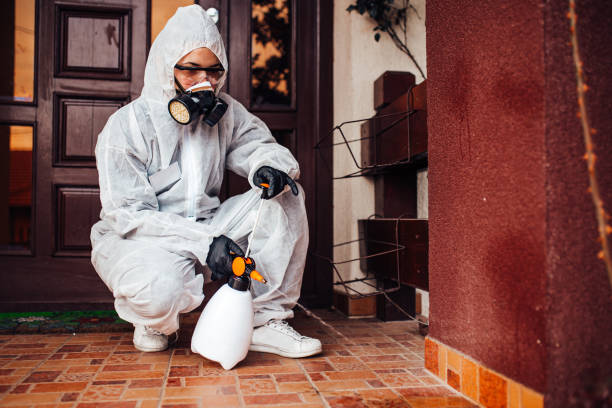Reliable Ant Control contractor in Lake Mary, FL by Nex Pest Control