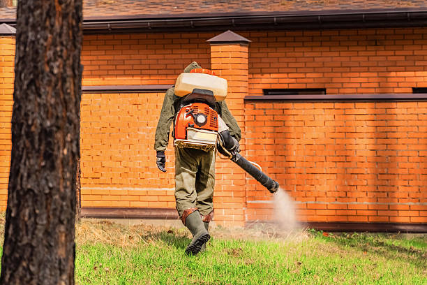 Trusted Mosquito Control service in Lake Mary, FL - Nex Pest Control